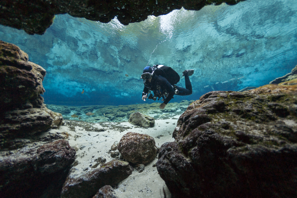 Diving and the underwater world of the Adriatic Sea